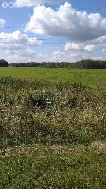 Участок в Свердловская область, Тугулымский муниципальный округ, село ... - Фото 1
