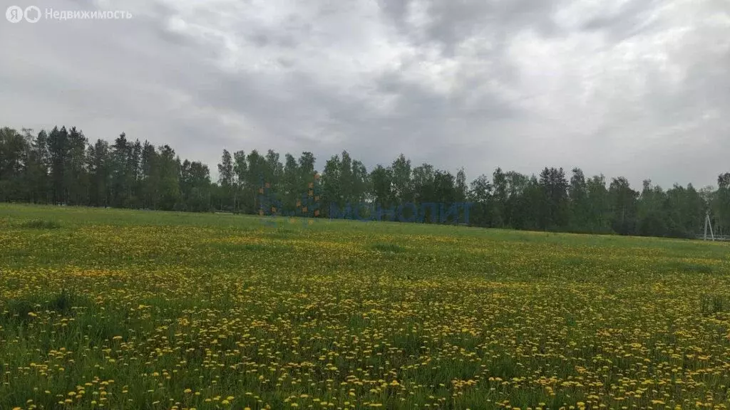 Участок в село Каменки, коттеджный посёлок Ромашково (82 м) - Фото 1