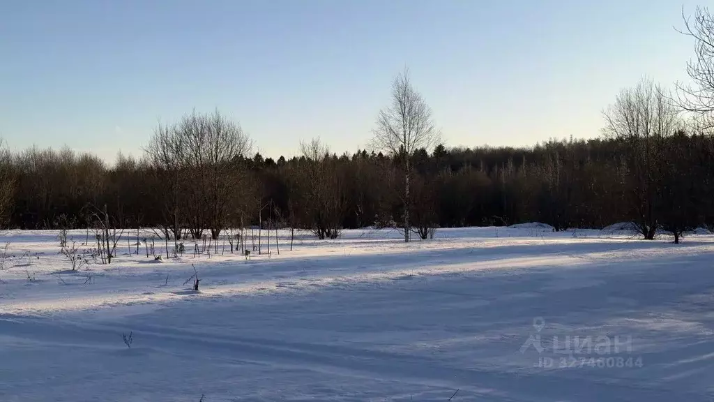 Участок в Московская область, Истра муниципальный округ, д. Кореньки  ... - Фото 1