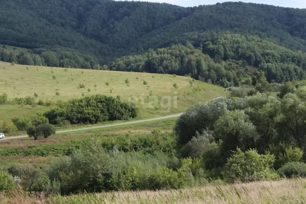 Участок в Алтайский край, Белокуриха Центральная ул. (15.0 сот.) - Фото 0