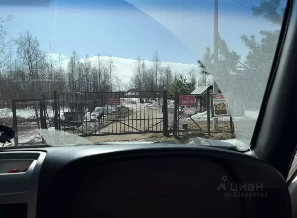 Участок в Московская область, Клин городской округ, Сокол СНТ 416 ... - Фото 2