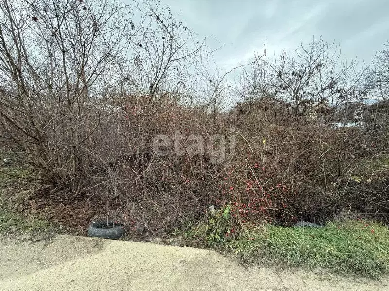 Участок в Краснодарский край, Новороссийск городской округ, с. ... - Фото 2