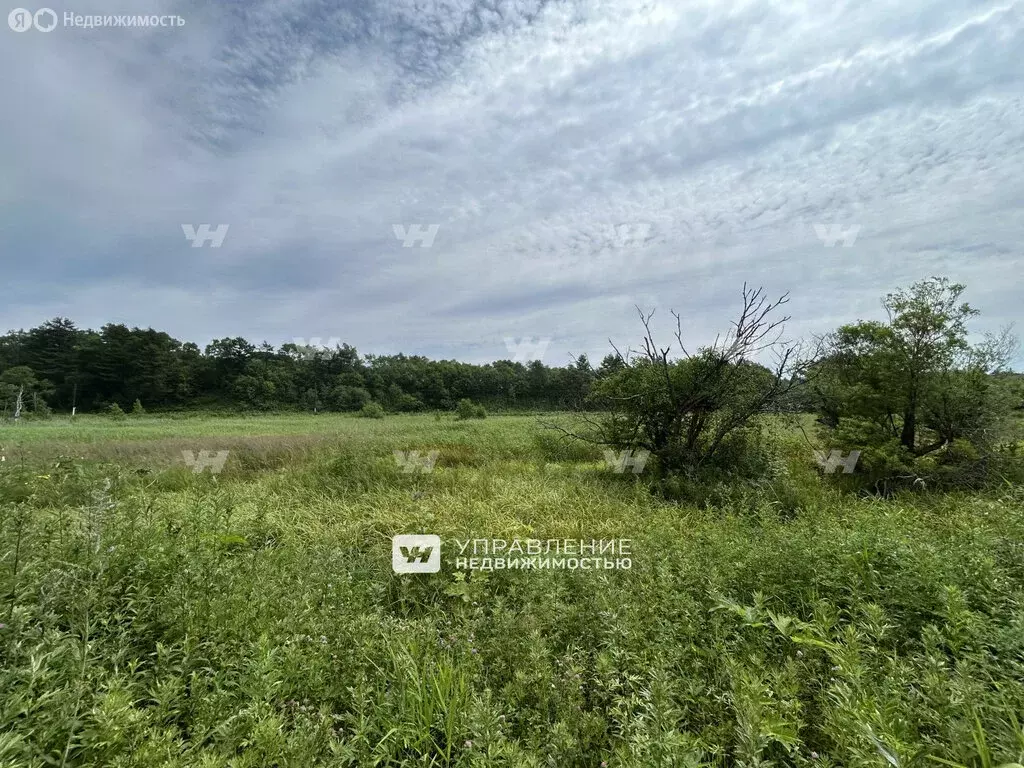 Участок в село Дачное (89.72 м) - Фото 1