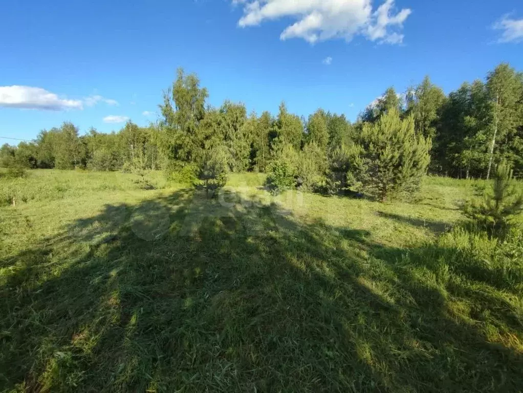 Купить Дом В Деревне Бор Некрасовский Ярославль