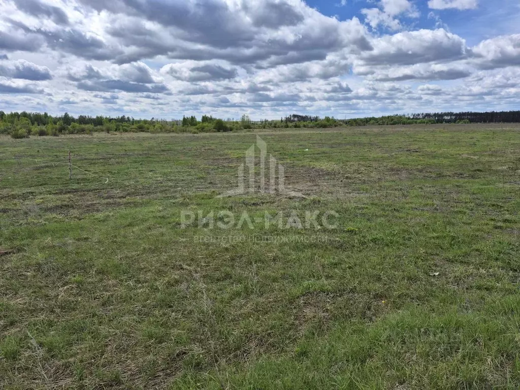 Участок в Брянская область, Брянский район, с. Домашово ул. ... - Фото 2