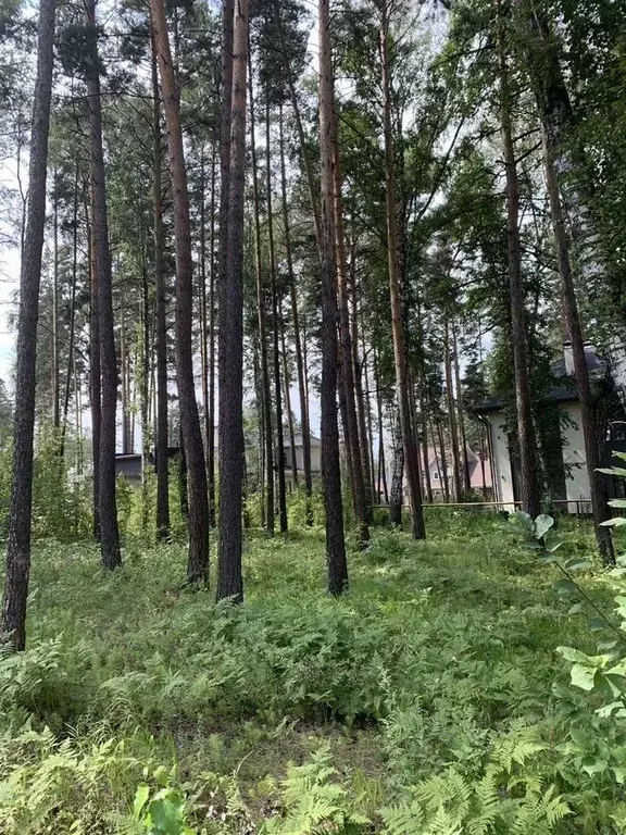 Участок в Новосибирская область, Новосибирск Европейский кп, ул. ... - Фото 1