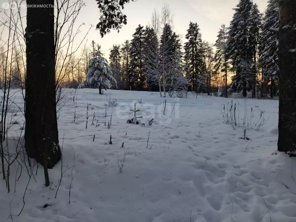 Участок в Архангельская область, Приморский муниципальный округ, ... - Фото 1