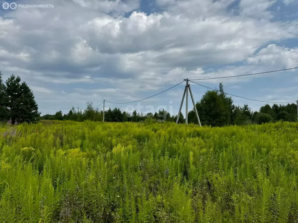 Участок в Нижегородская область, Городецкий муниципальный округ, ... - Фото 0