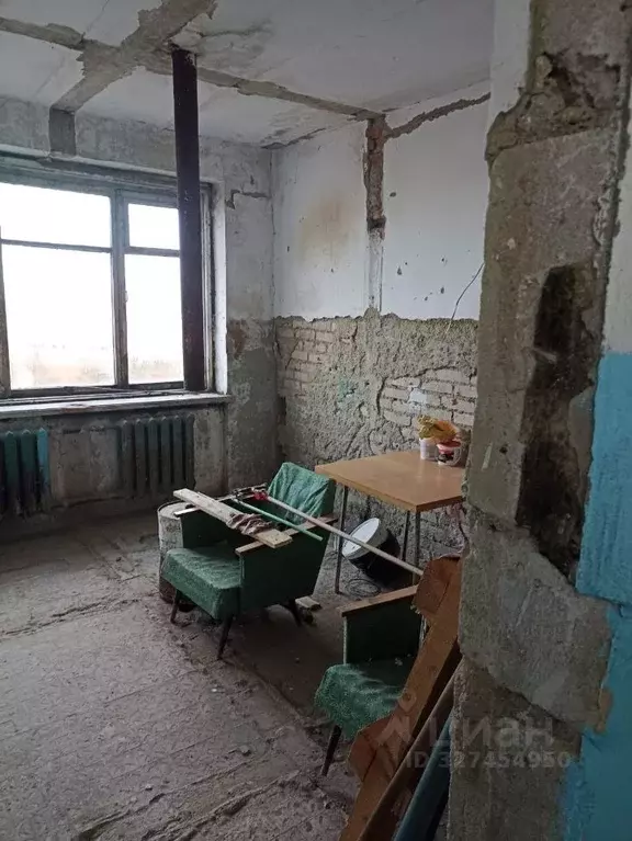 Помещение свободного назначения в Челябинская область, Нагайбакский ... - Фото 2