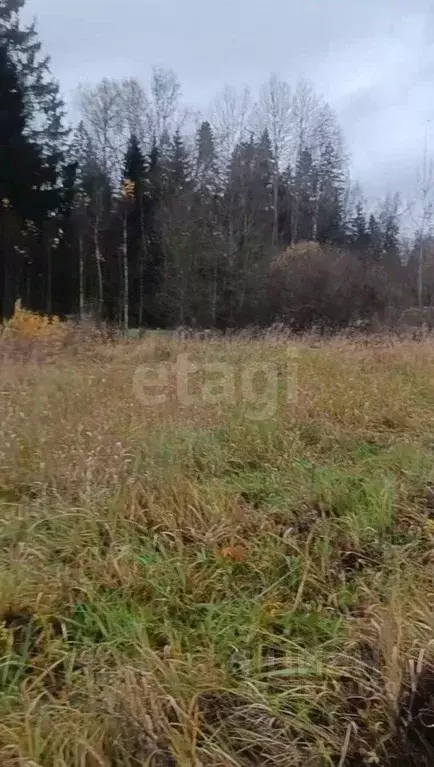 Участок в Москва Акулово СНТ, 13 (8.0 сот.) - Фото 0