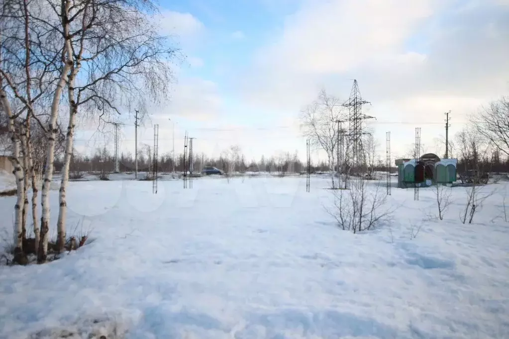Участок 6 га (СНТ, ДНП) - Фото 0