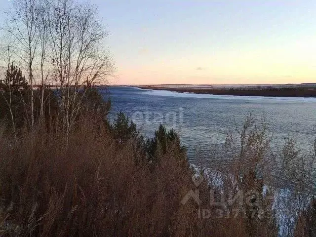 Участок в Амурская область, Свободненский район, с. Малая Сазанка  ... - Фото 0