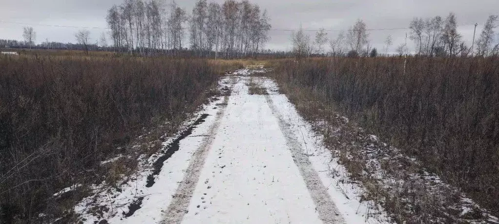 Участок в Ульяновская область, Ульяновск Московское ш. (8.0 сот.) - Фото 1