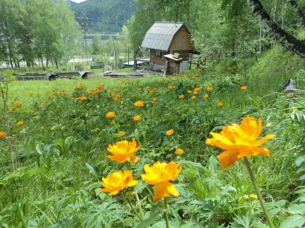 Купить Дом В Майна Хакасия Домофонд