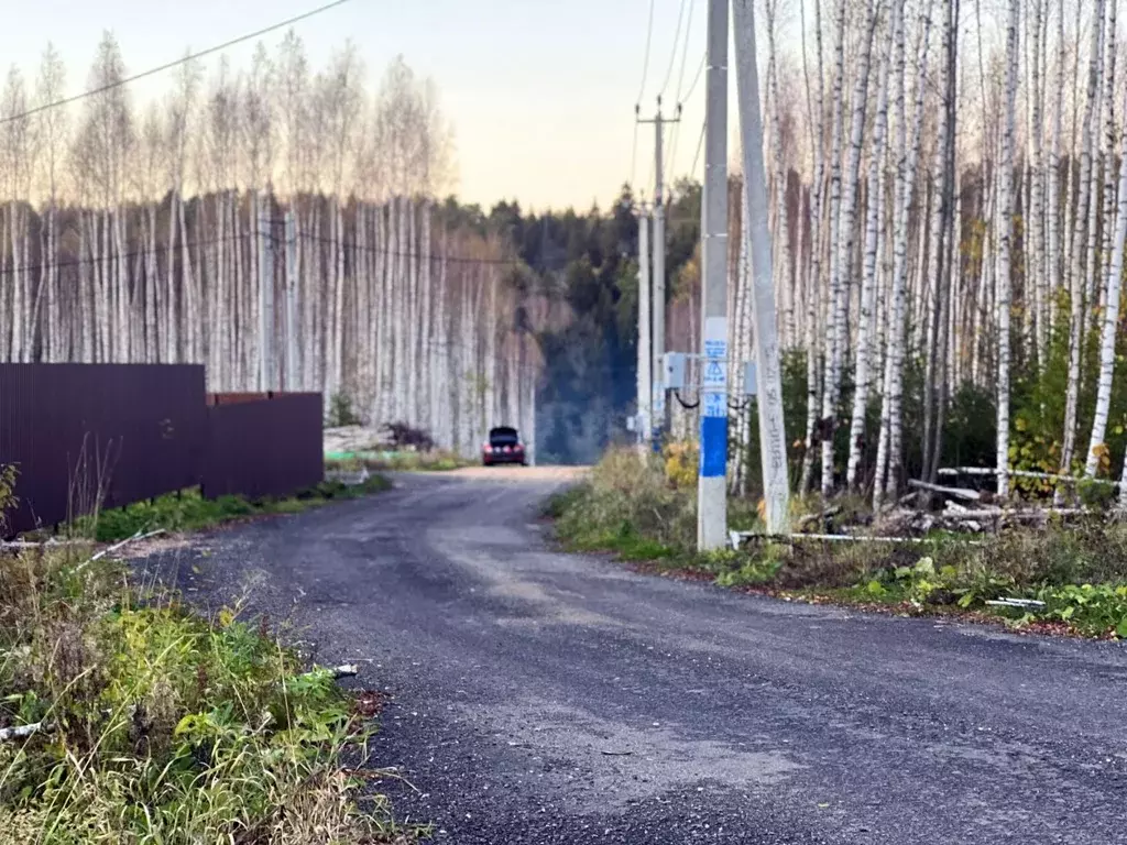 Участок в Московская область, Дмитровский городской округ, д. Шадрино, . - Фото 1