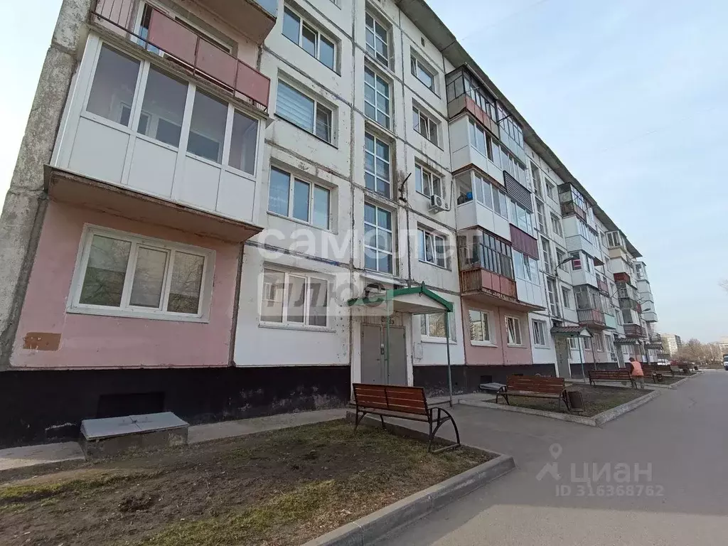 1-к кв. Алтайский край, Заринск просп. Строителей, 26/2 (30.2 м) - Фото 0