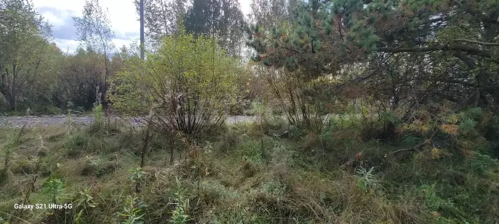 Участок в Свердловская область, Каменский муниципальный округ, пос. ... - Фото 1