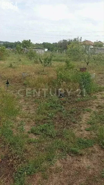 Участок в Севастополь Сухарный СТСН, 14 (8.0 сот.) - Фото 2