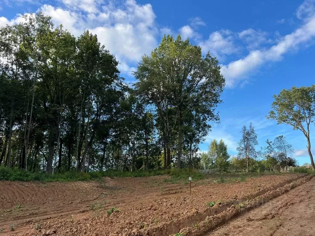 Участок в Московская область, Дмитровский муниципальный округ, д. ... - Фото 1