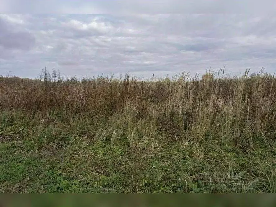 Участок в Московская область, Клин городской округ, д. Богаиха  (10.0 ... - Фото 2