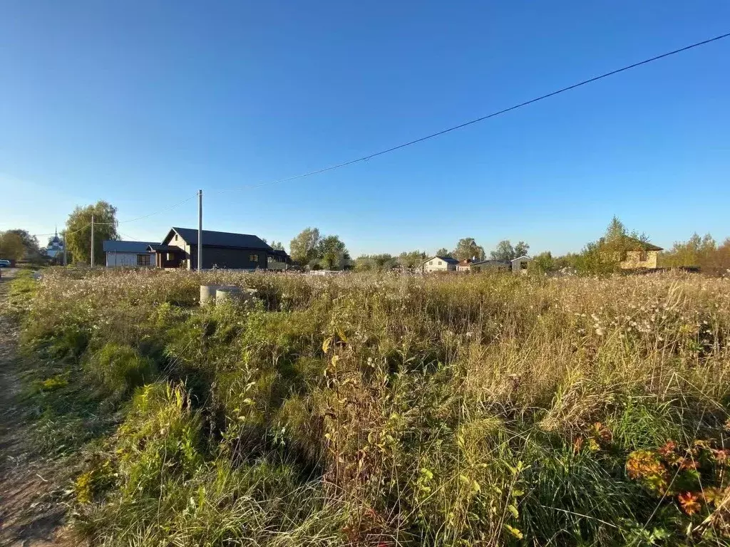 Участок в Костромская область, Красносельский район, Шолоховское ... - Фото 0