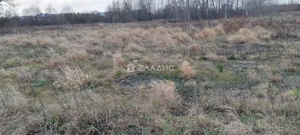 Участок в Калининградская область, Гурьевский муниципальный округ, ... - Фото 1