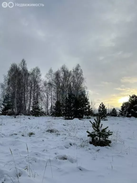 Участок в Нижегородская область, городской округ Арзамас, село ... - Фото 1