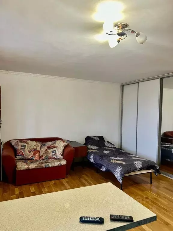 Студия Московская область, Балашиха городской округ, д. Пуршево  (30.0 ... - Фото 1