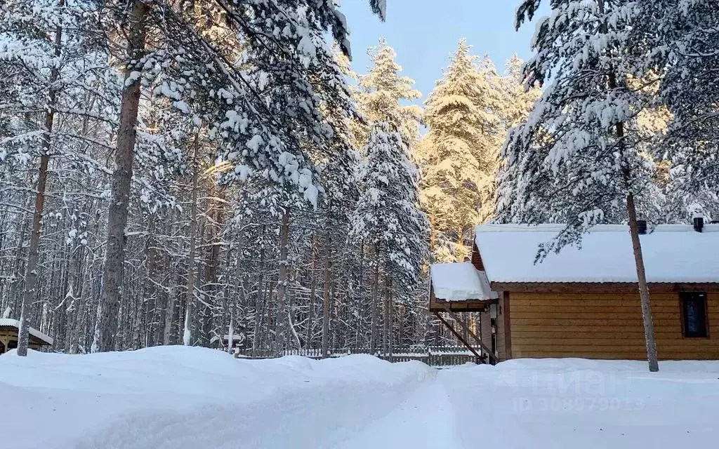 Дом в Карелия, Суоярвский муниципальный округ, с. Вешкелица  (100 м) - Фото 1