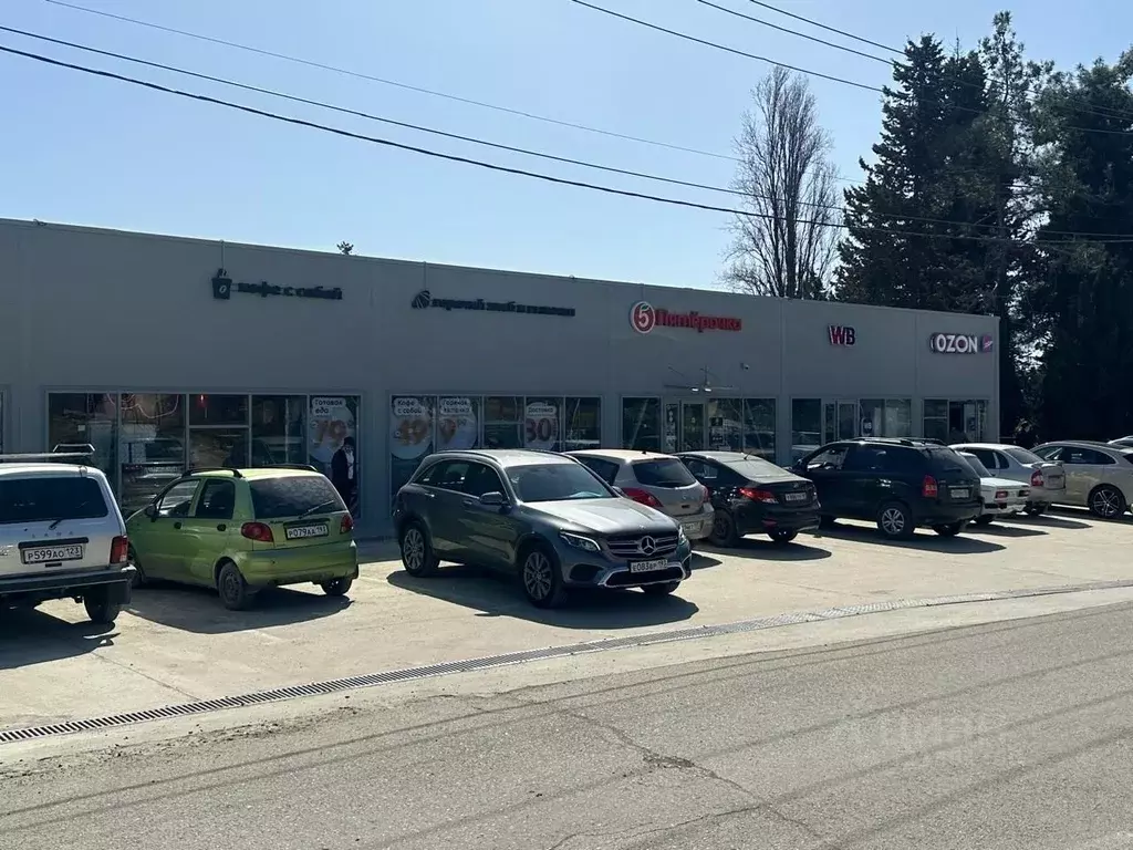 Помещение свободного назначения в Краснодарский край, Сочи городской ... - Фото 0