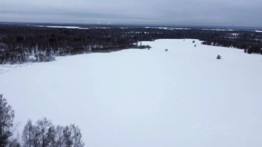 Участок в Томская область, Томский район, д. Воронино Центральная ул., ... - Фото 1