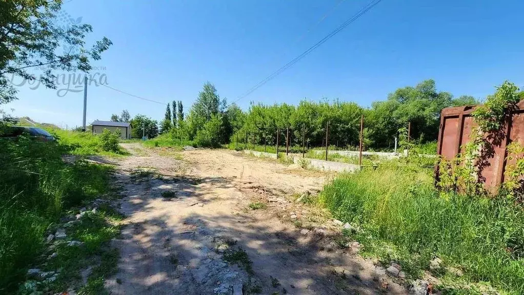 Участок в Воронежская область, Новоусманский район, с. Бабяково ... - Фото 1