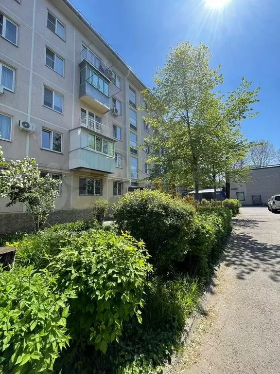 1-к. квартира, 31 м, 1/5 эт. - Фото 1