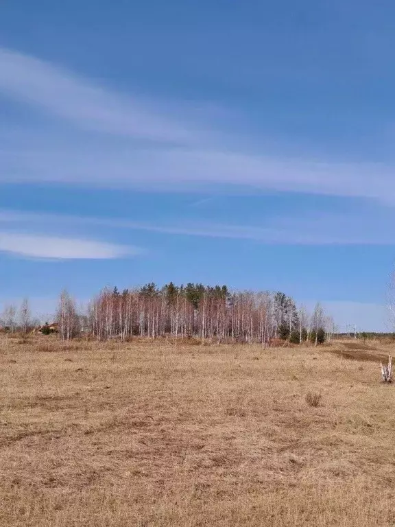 Участок в Свердловская область, Березовский Театральная ул. (10.0 ... - Фото 1