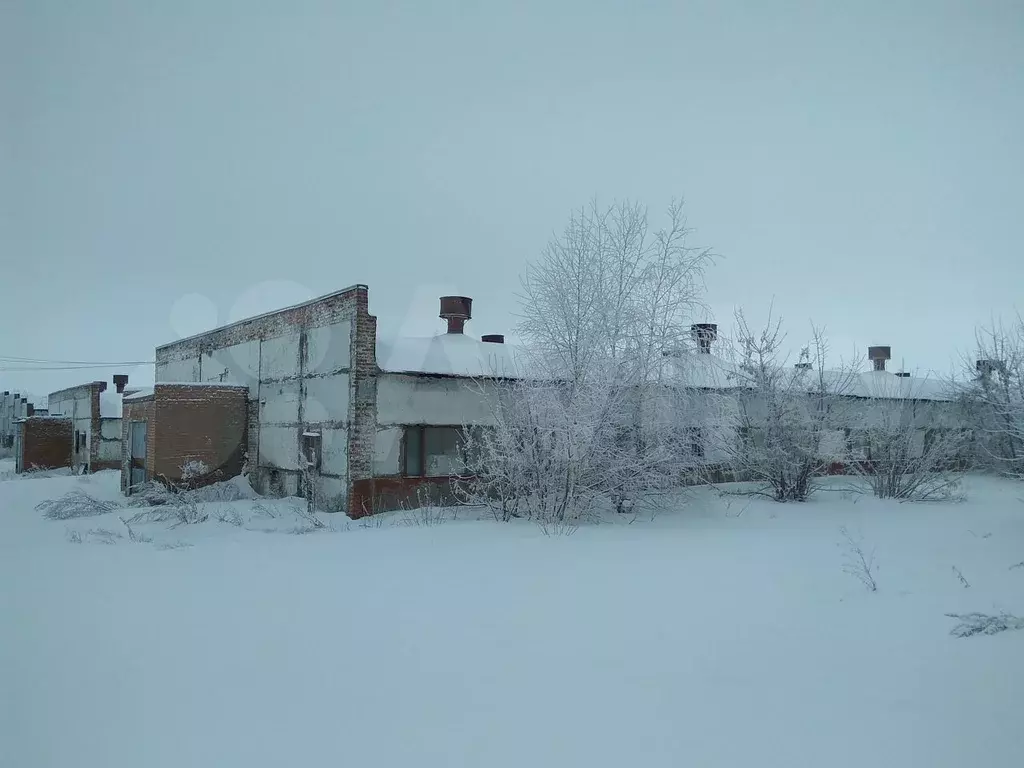 Холодные склады и бетонированные площадки - Фото 1