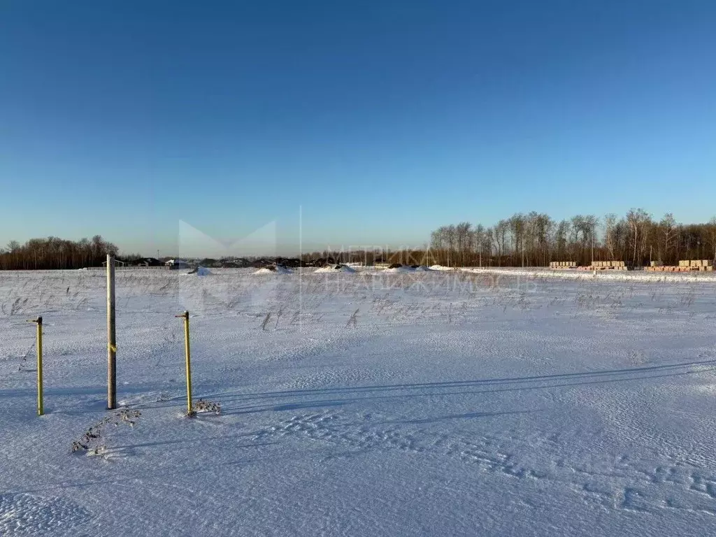 Участок в Тюменская область, Тюменский район, Новокаменский кп  (10.16 ... - Фото 0