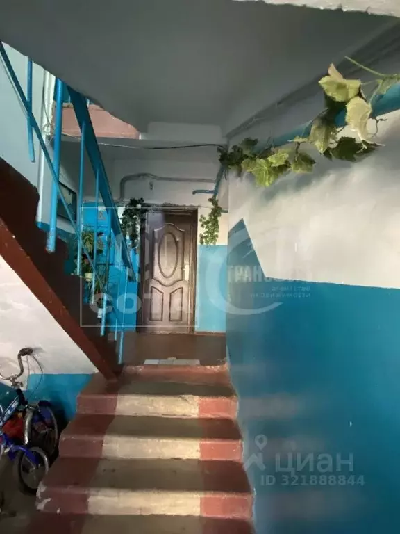 2-к кв. Воронежская область, с. Новая Усмань пер. Больничный, 10 (42.0 ... - Фото 2