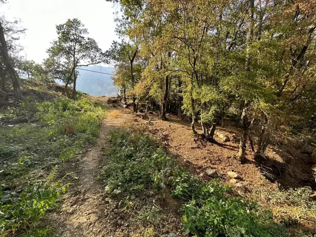 Участок в Республика Крым, муниципальный округ Ялта, посёлок ... - Фото 2