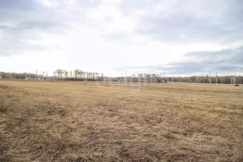 Участок в Алтайский край, Первомайский район, с. Фирсово, Полесье мкр  ... - Фото 2