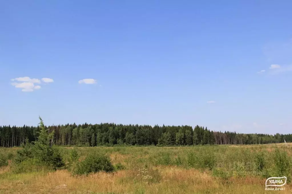 Участок в Калужская область, Малоярославецкий муниципальный округ, с. ... - Фото 2