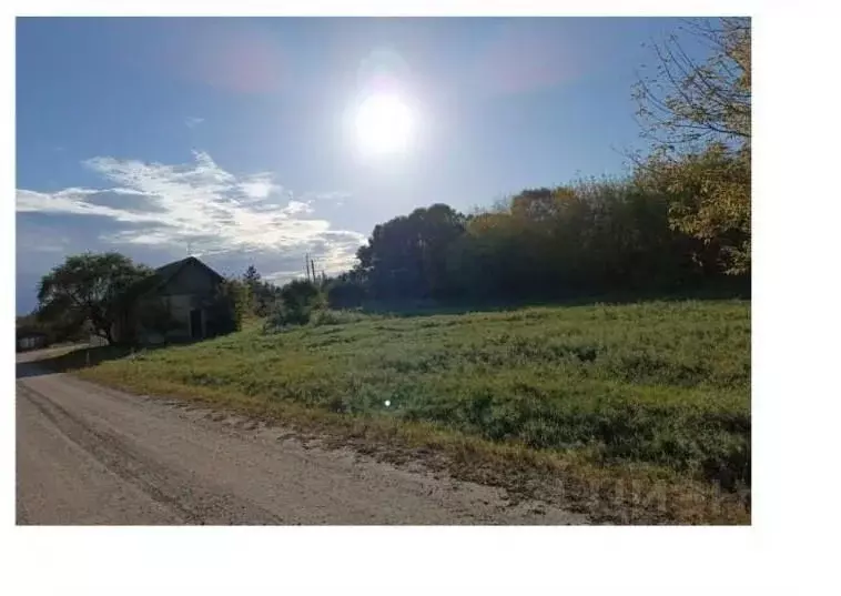 Участок в Амурская область, Бурейский муниципальный округ, с. Старая ... - Фото 1