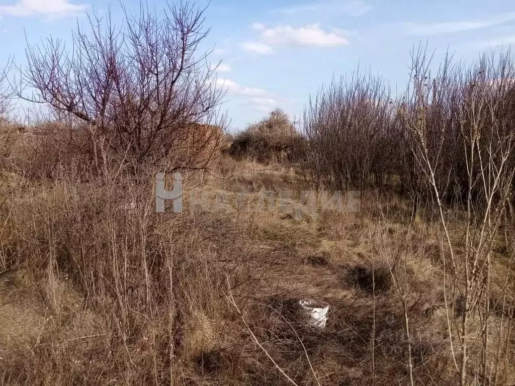 участок в ростовская область, белокалитвинский район, нижнепоповское . - Фото 0