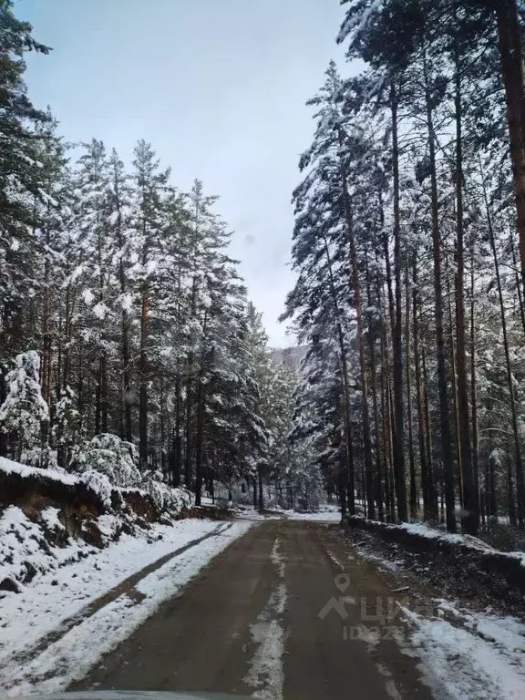 Участок в Забайкальский край, Читинский район, № 54 Радуга СНТ 32 ... - Фото 1
