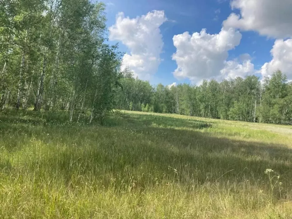 Участок в Омская область, Омское с/пос, д. Зеленовка  (18.0 сот.) - Фото 0