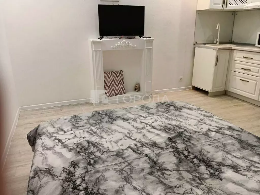 Студия Новосибирская область, Новосибирск Железнодорожная ул., 15 ... - Фото 2