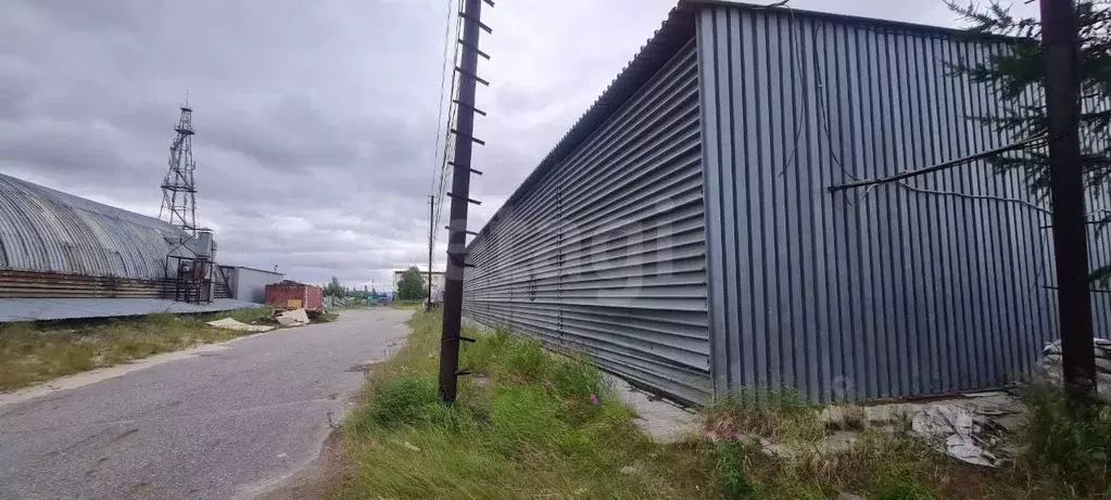 Склад в Ямало-Ненецкий АО, Новый Уренгой ул. Промысловая, 2А/17 (706 ... - Фото 2