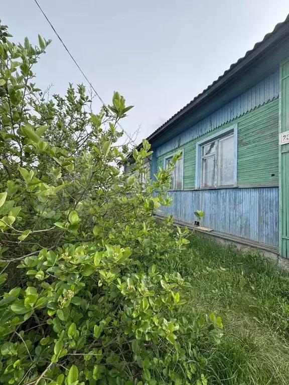 Дача 50 м на участке 15 сот. - Фото 1
