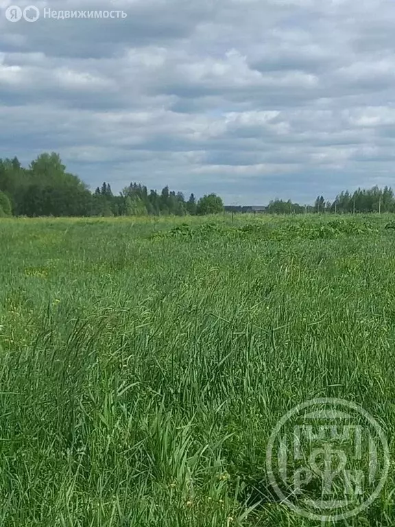 Участок в Мшинское сельское поселение, деревня Сорочкино, коттеджный ... - Фото 2