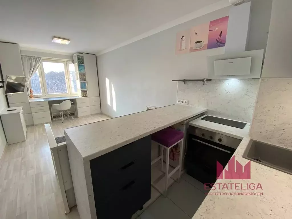 Студия Московская область, Ленинский городской округ, Лопатино пгт ул. ... - Фото 2