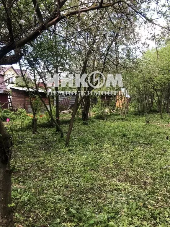 Участок в Московская область, Подольск Воговец СНТ, 3 (6.13 сот.) - Фото 2